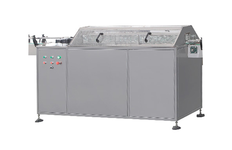 風(fēng)味豆豉自動(dòng)洗瓶機(jī)